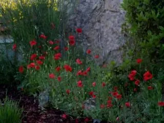 Hotel Les Cigales Allauch